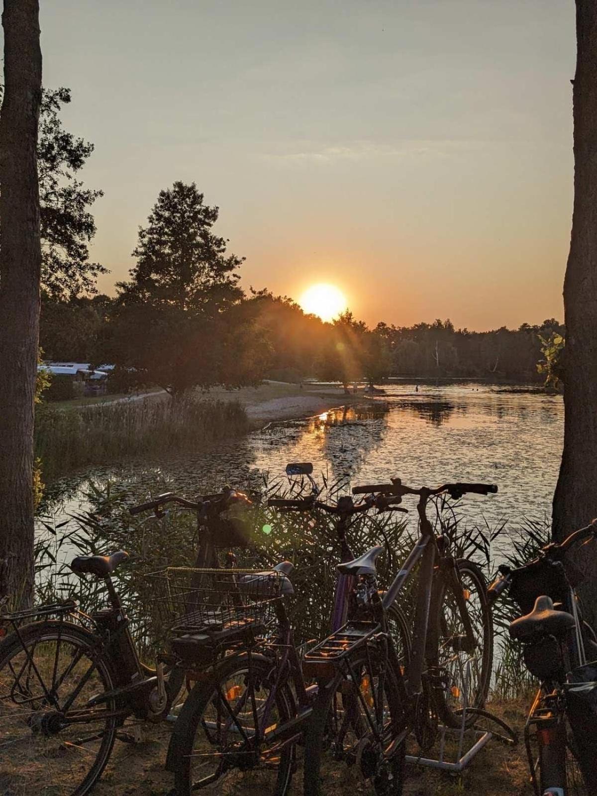 Gruener Bungalow Am Kiebitzsee Villa Falkenburg Екстериор снимка