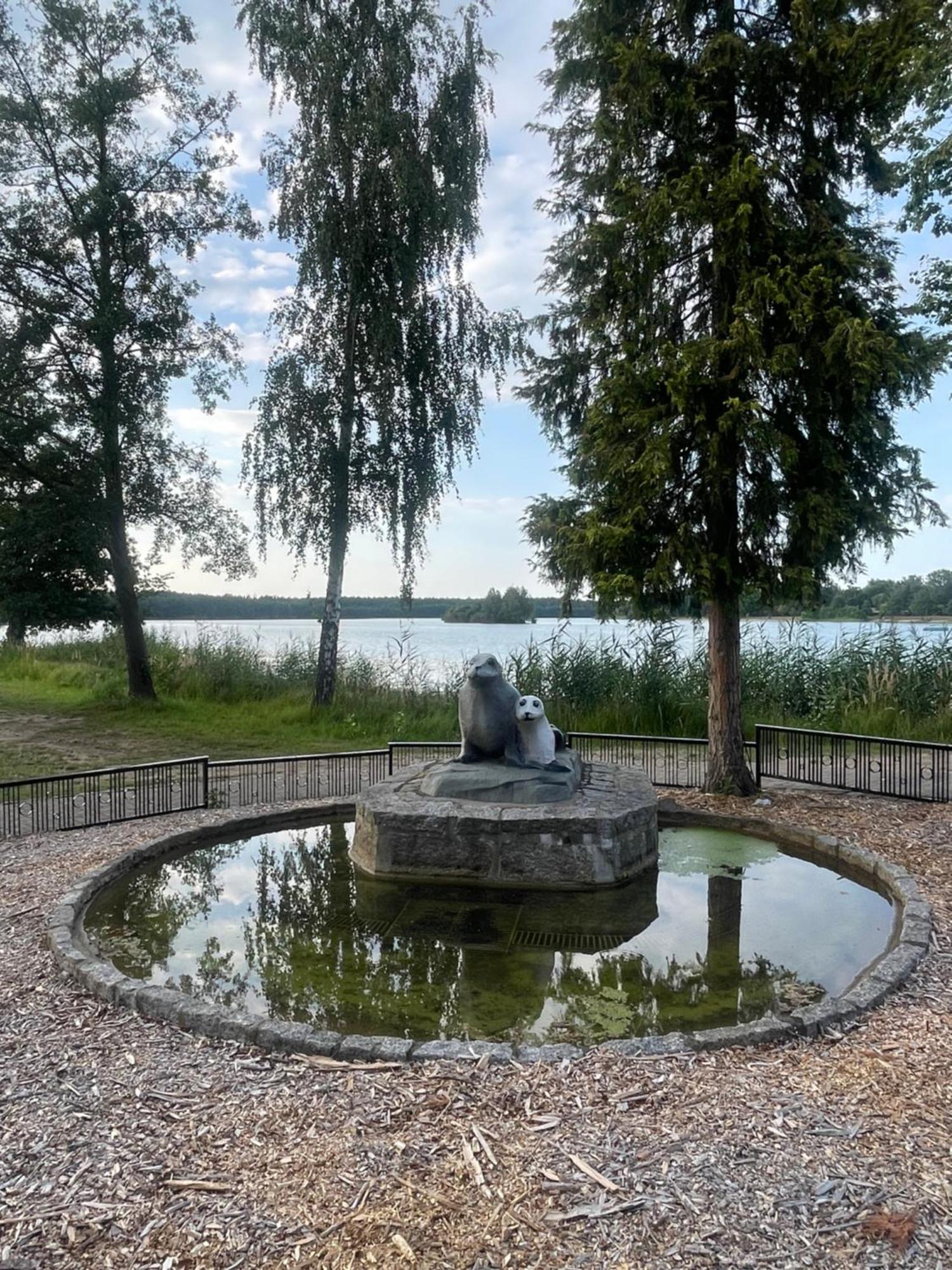 Gruener Bungalow Am Kiebitzsee Villa Falkenburg Екстериор снимка